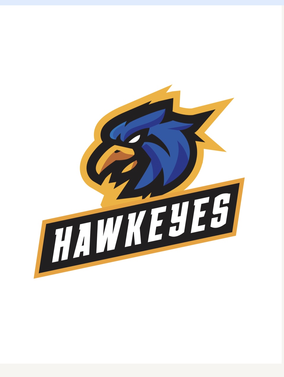 Hawkeyes Logo