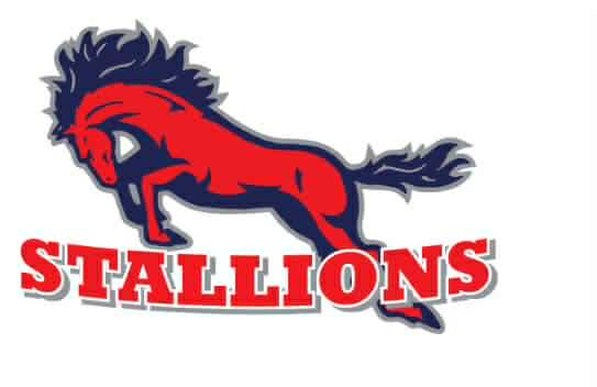 Stallions Logo